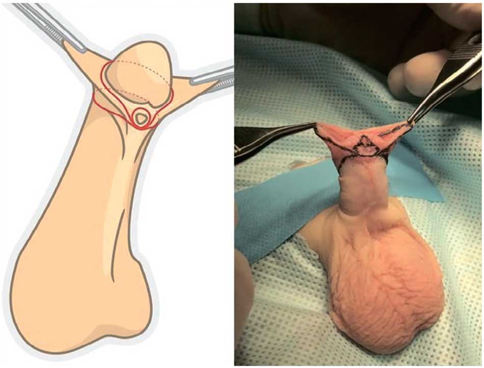 Разметка линий разрезов