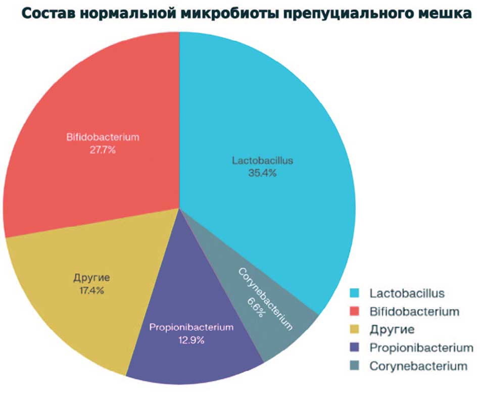 Диаграмма нормальной микрофлоры препуция по данным исследования