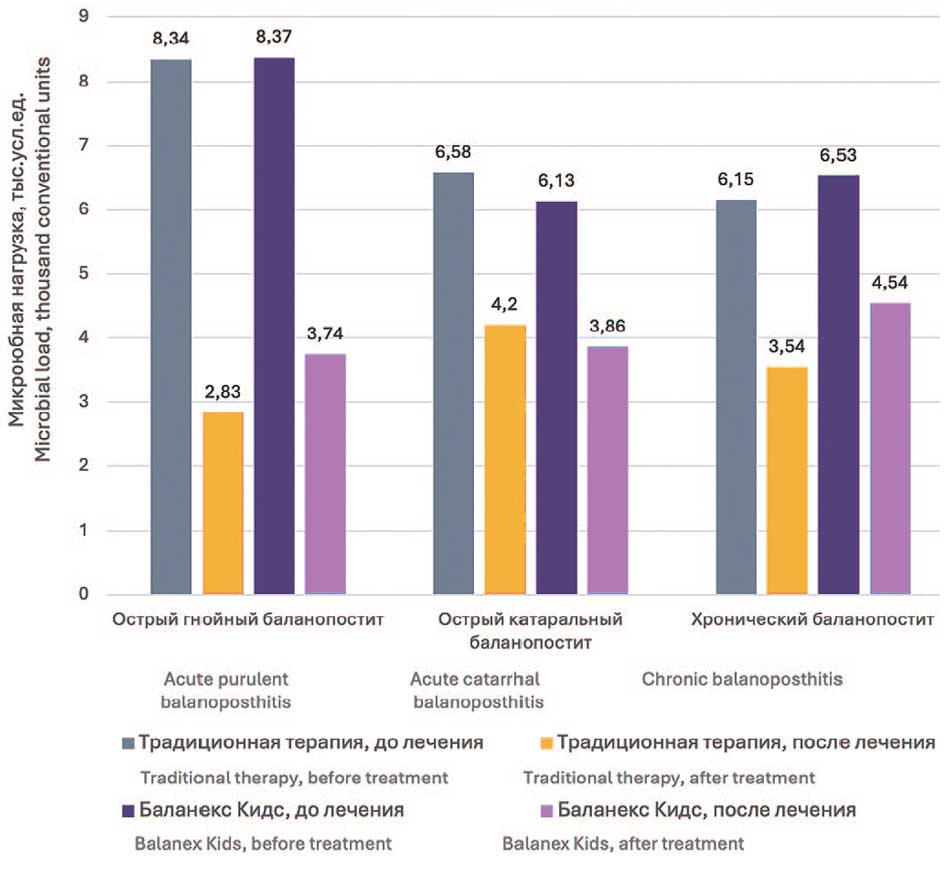 Динамика общей микробной нагрузки в полости препуциального мешка при использовании традиционной и опытной схем лечения